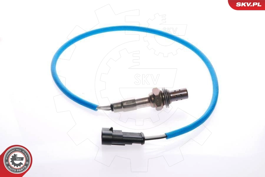 Oxygen Sensor